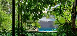 Shelford Suites (D11), Condominium #460652471